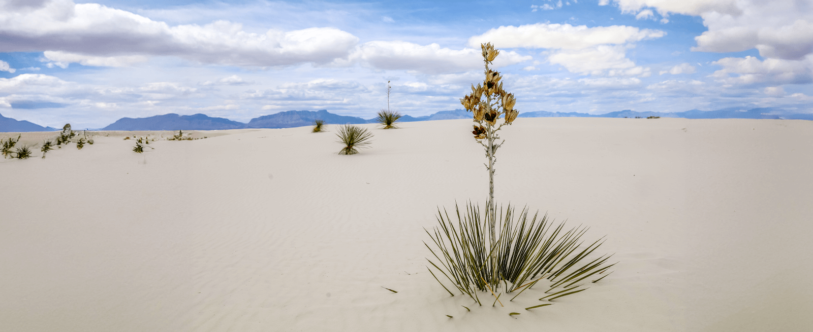 White Sands National Park