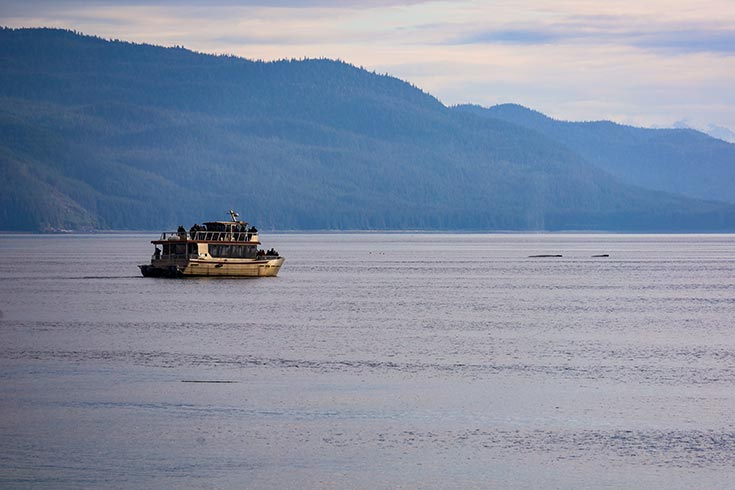 Travelers boarding a small tour boat for an Icy Strait Point whale watching excursion.